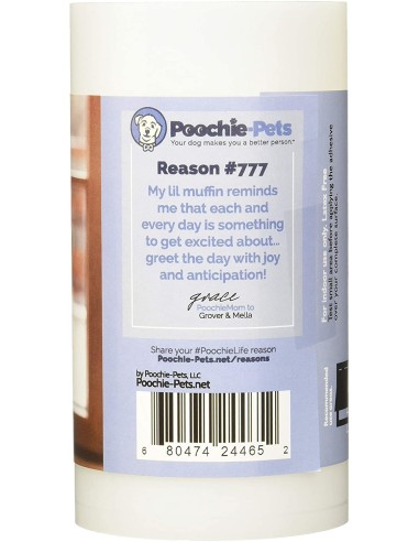 PoochieGuard anti-scratch film for doors, windows and furniture