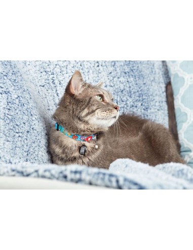 Smart ID Cat Collar - Little Monsters/1 size