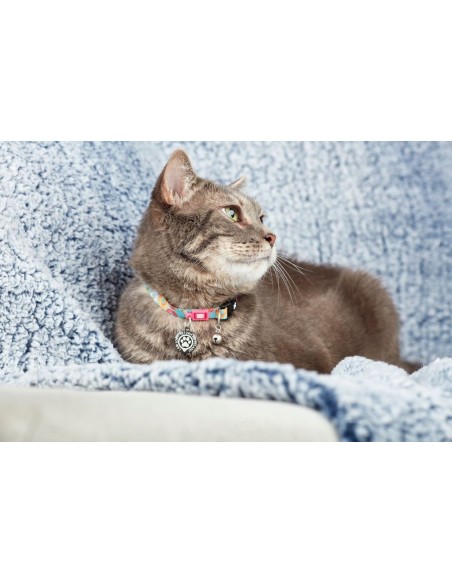 Donuts  Cat Collar
