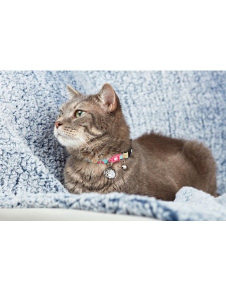 Donuts  Cat Collar