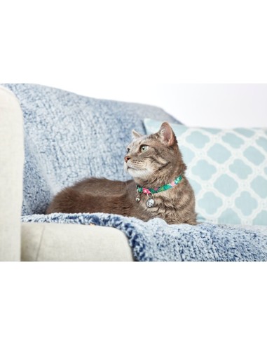Tropical Cat Collar