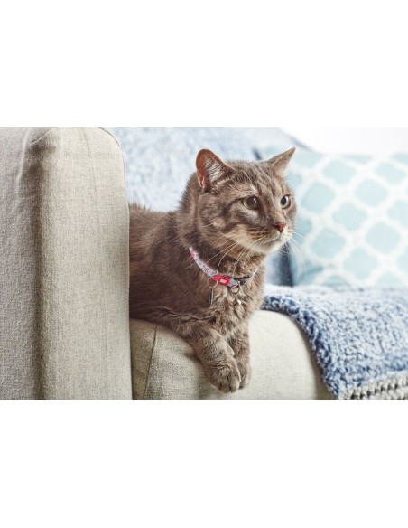 Cherry Bloom Cat Collar