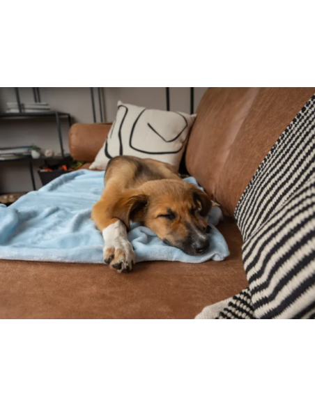 Coco puppydeken