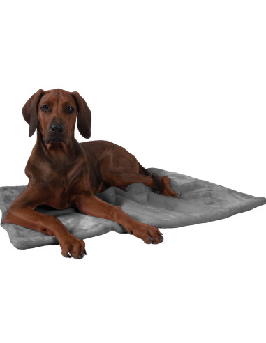 Coco puppydeken