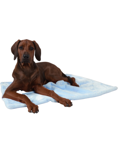 Coco puppydeken