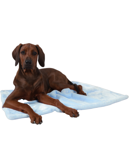 Coco puppydeken