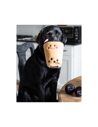 Zippy Burrow - Boba Milk Tea