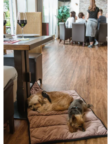 Restaurant blanket – 75×55cm