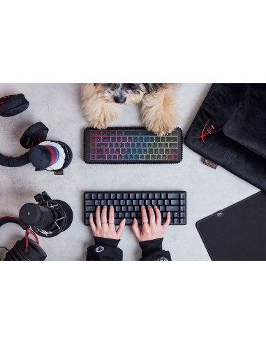 P.L.A.Y. x HyperX - Keyboard