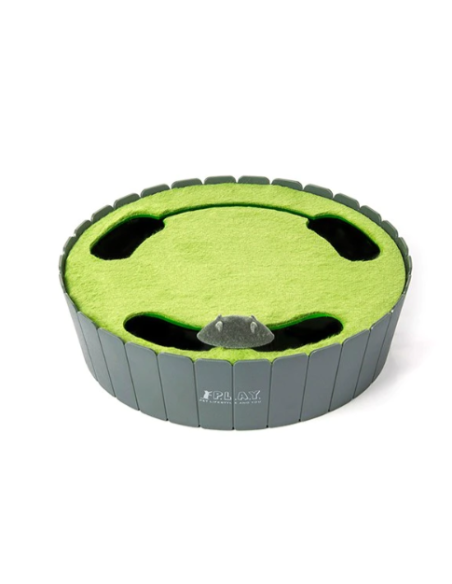PLAY  Feline Frenzy - Peek-a-Boo Mouse Chase
