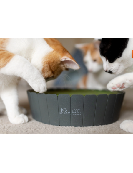 PLAY  Feline Frenzy - Peek-a-Boo Mouse Chase
