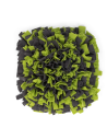 Snuffle Mat - Green