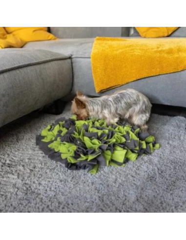 Snuffle Mat - Green