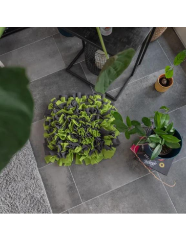 Snuffle Mat - Green