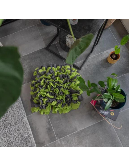 Snuffle Mat - Green