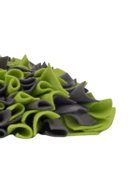 Snuffle Mat - Green