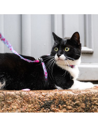 Cherry Bloom - H-Harness Cat