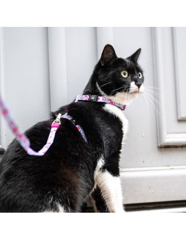 Cherry Bloom - H-Harness Cat