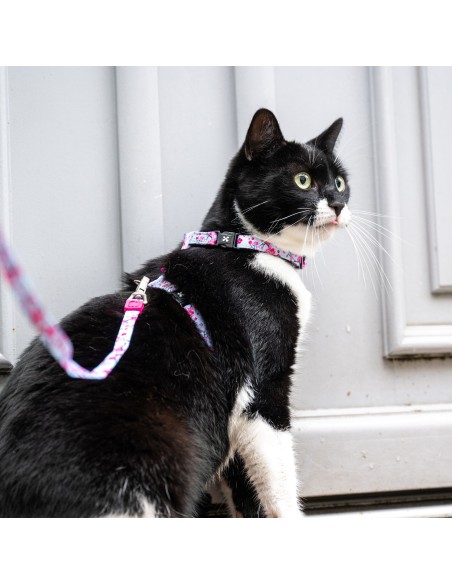 Cherry Bloom - H-Harness Cat