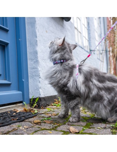 Cherry Bloom - H-Harness Cat