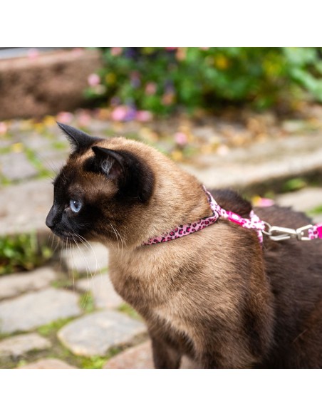 Cat Harness/Leash Set - Leopard Pink/1 Size