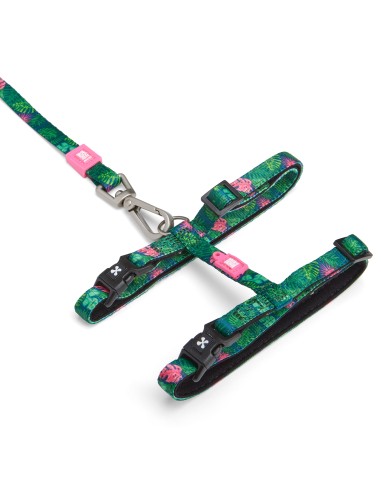 Cat Harness/Leash Set - Tropical/1 Size