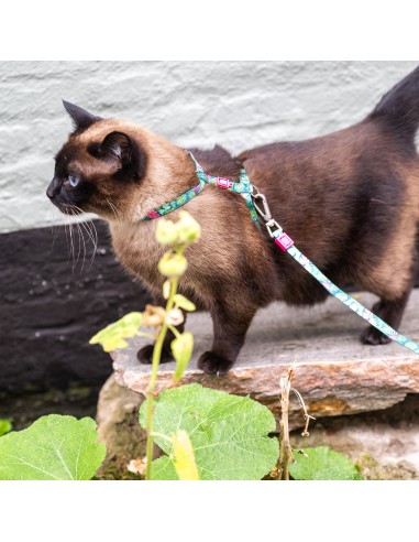 Cat Harness/Leash Set - Tropical/1 Size
