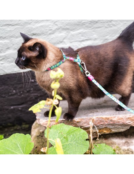 Cat Harness/Leash Set - Tropical/1 Size