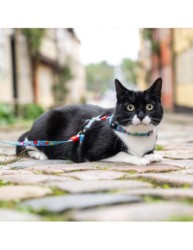 Little Monsters - H-Harness Cat