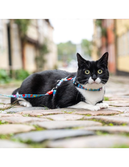 Little Monsters - H-Harness Cat