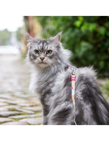 Cat Harness/Leash Set - Donuts/1 Size