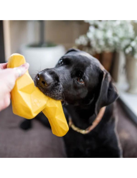 ZippyTuff+ Lightning Bolt - Dog Toy