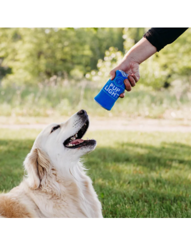 Squeakie Can - Pups Blue Ribbon : ZippyPaws  - Squeakie Can - Pups Blue