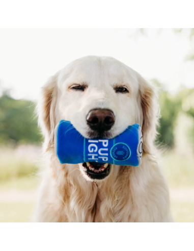 Squeakie Can - Pups Blue Ribbon : ZippyPaws  - Squeakie Can - Pups Blue