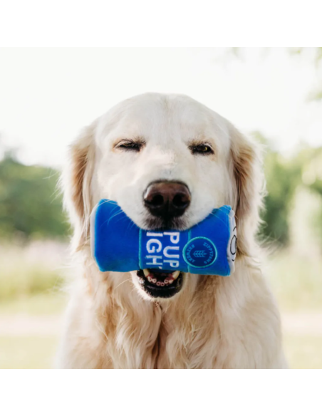 Squeakie Can - Pups Blue Ribbon : ZippyPaws  - Squeakie Can - Pups Blue