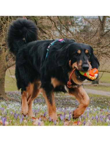 Snuggles Toy - Otto the Dino