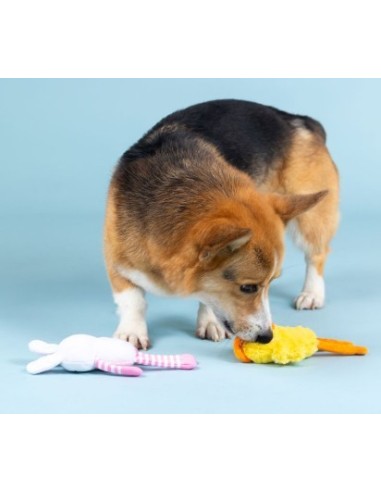 Hoppy Go Clucky 2pc Dog Set