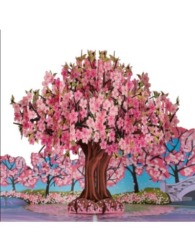 Pop Up Card - Flowers