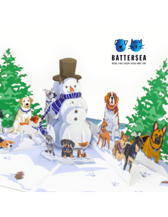 Christmas Train : Pop-Up Cards