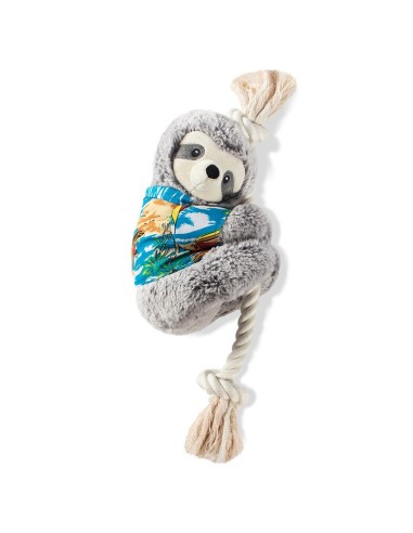 Slown' down for summer sloth