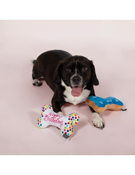 Birthday bones cookies - Set