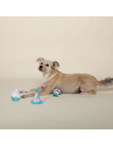 Happy BarkDay - Set