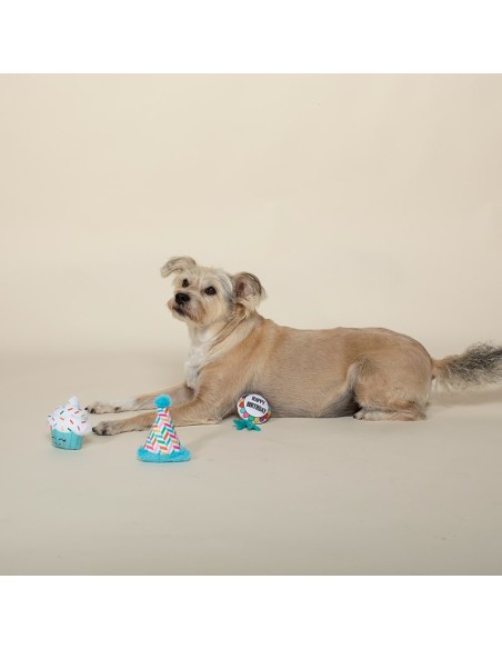 Happy BarkDay - Set