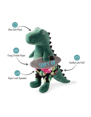 Surfer Bro Rex