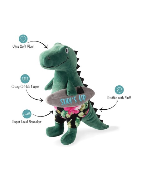 Surfer Bro Rex