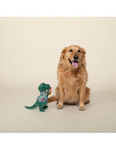 Tropical Rex