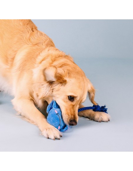 Do The Right Sting Dog Toy