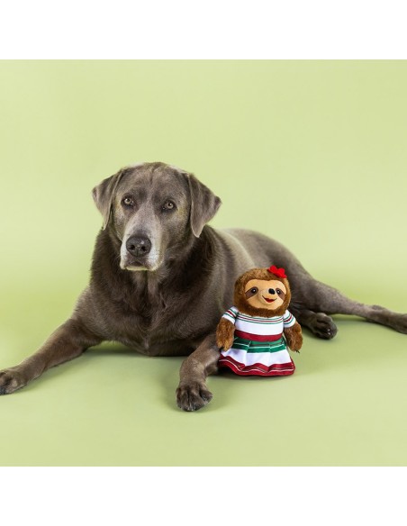 You Had Me At Hola! Plush Dog Toy - pack of 4