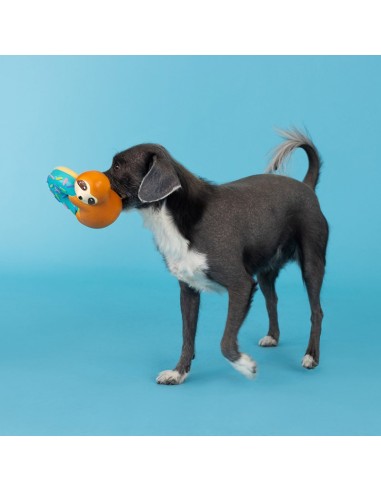 Donut Worry About A Thing Latex Dog Toy - pack of 4