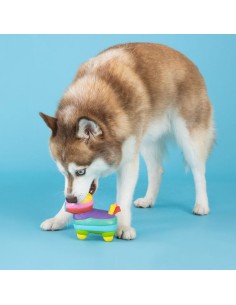 Life's A Paw-Ty Latex Dog Toy - pack of 4 2